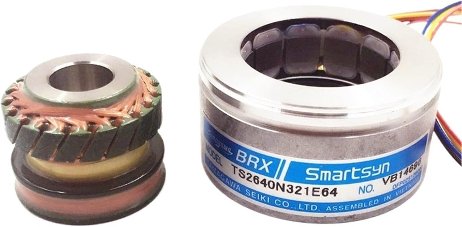 人気ドワーフ3種12株セット①】P.willinckii系 ビカクシダ Z*I様 【 に